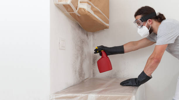 Professional Mold Cleanup technician working in McLean, TX