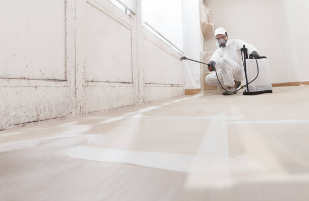24/7 Emergency Mold Cleanup experts in McLean, TX