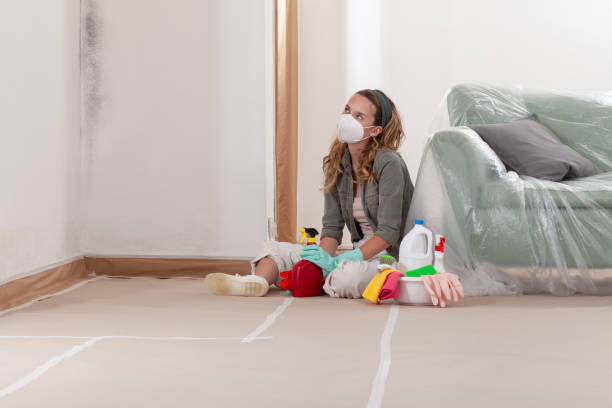 Reliable Mold Cleanup contractor in McLean, TX by Cheap Mold Removal